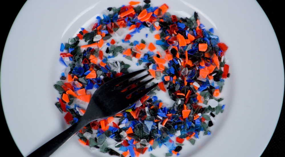 В объятьях микропластика